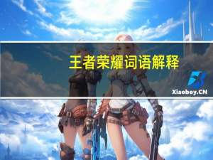 王者荣耀词语解释