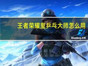 王者荣耀里乒乓大师怎么用