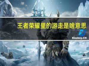 王者荣耀里的游走是啥意思