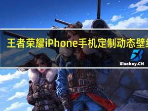 王者荣耀iPhone手机定制动态壁纸 V1.0 免费版（王者荣耀iPhone手机定制动态壁纸 V1.0 免费版功能简介）