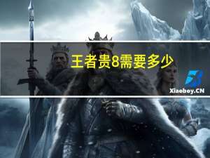王者贵8需要多少