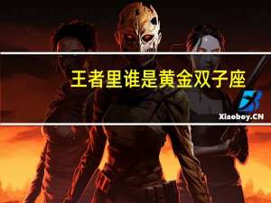 王者里谁是黄金双子座
