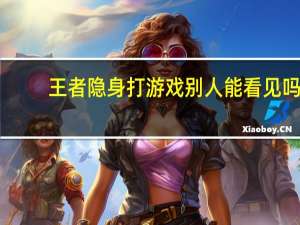 王者隐身打游戏别人能看见吗