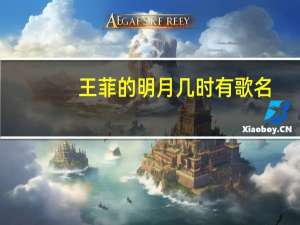 王菲的明月几时有歌名（王菲的明月几时有的歌词）