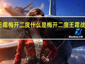 王霜梅开二度 什么是梅开二度王霜战绩如何