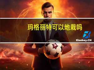 玛格丽特可以地栽吗