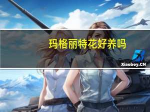 玛格丽特花好养吗