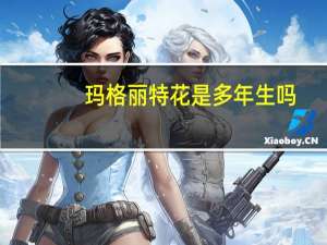 玛格丽特花是多年生吗