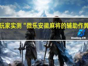 玩家实测“微乐安徽麻将的辅助作弊软件”(详细透视猫腻)