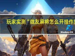 玩家实测“微友麻将怎么开挂作弊”(详细透视猫腻)