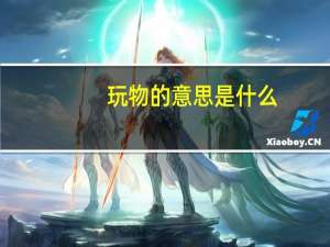玩物的意思是什么