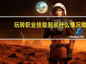 玩转职业技能 到底什么情况嘞