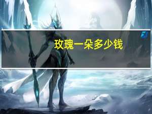 玫瑰一朵多少钱