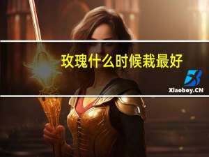 玫瑰什么时候栽最好