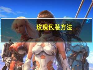 玫瑰包装方法