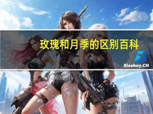 玫瑰和月季的区别百科