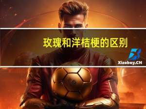 玫瑰和洋桔梗的区别