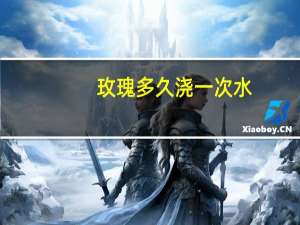 玫瑰多久浇一次水