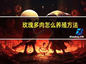 玫瑰多肉怎么养殖方法