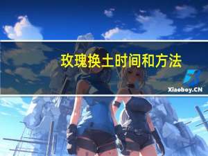 玫瑰换土时间和方法