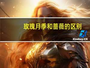 玫瑰月季和蔷薇的区别