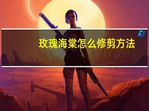 玫瑰海棠怎么修剪方法