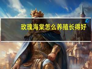 玫瑰海棠怎么养殖长得好