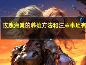 玫瑰海棠的养殖方法和注意事项有哪些