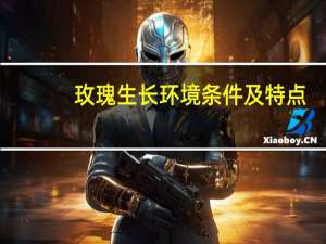 玫瑰生长环境条件及特点