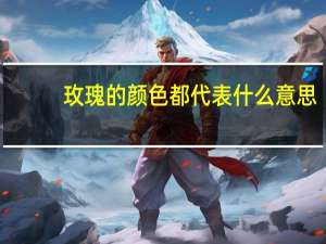 玫瑰的颜色都代表什么意思