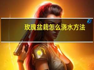 玫瑰盆栽怎么浇水方法