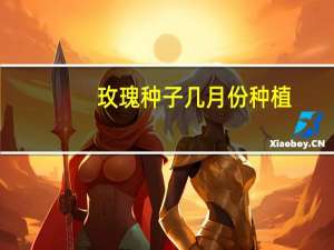 玫瑰种子几月份种植