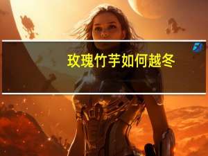 玫瑰竹芋如何越冬：竹芋的耐寒性最弱