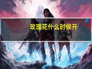 玫瑰花什么时候开