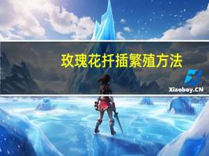 玫瑰花扦插繁殖方法