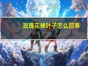 玫瑰花掉叶子怎么回事