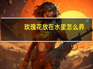 玫瑰花放在水里怎么养