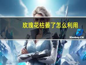 玫瑰花枯萎了怎么利用