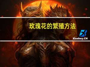 玫瑰花的繁殖方法