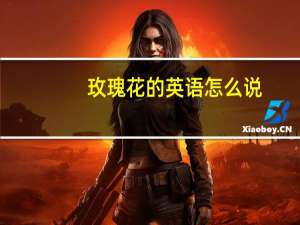 玫瑰花的英语怎么说