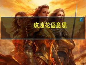 玫瑰花语意思