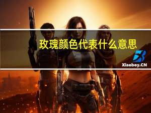玫瑰颜色代表什么意思