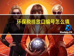 环保税排放口编号怎么填