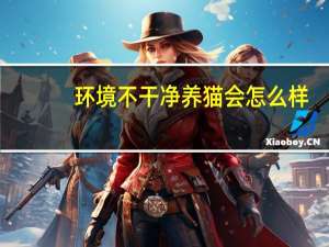 环境不干净养猫会怎么样