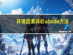 环境因素评价abcde方法