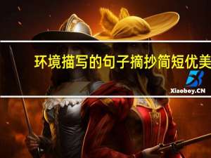环境描写的句子摘抄简短优美