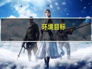环境目标