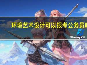 环境艺术设计可以报考公务员吗