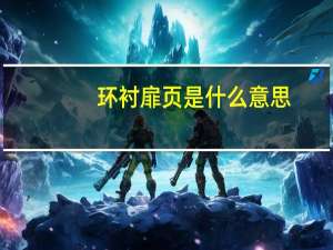 环衬扉页是什么意思