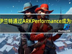 现代伊兰特通过ARK Performance成为公路赛车手